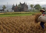 Ricky Donals Dorong “Sumbar Bangkit”, Ekonomi Sumbar Harus Pulih