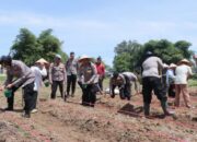Polres Payakumbuh Tanam Jagung, Dukung Ketahanan Pangan Nasional