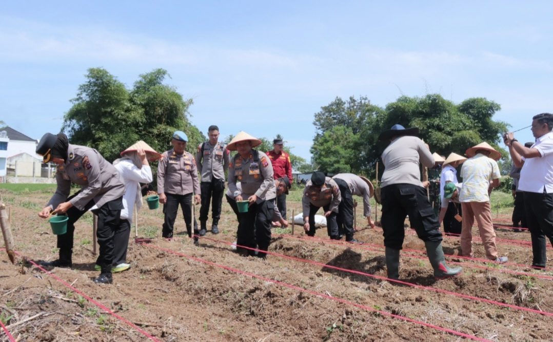 dukung-swasembada-pangan,-polres-payakumbuh-ikuti-penanaman-jagung-serentak-kwartal-iv