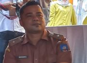 Kerajinan Sapu Ijuk Lunto Barat Tinggal Kenangan, Kades: Kini Hanya Tenun yang Bertahan