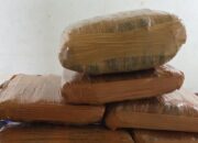 Petugas BIM Gagalkan Pengiriman Paket 7 Kg Diduga Ganja ke Jakarta