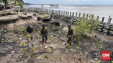 inovasi-kilang-pertamina-jaga-warga-pesisir-dumai-dari-abrasi