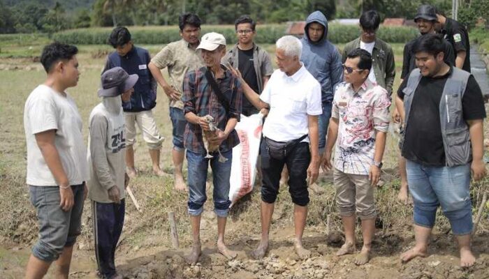 Palabek Angkat Derajat Petani, Pertanian Makin Berjaya