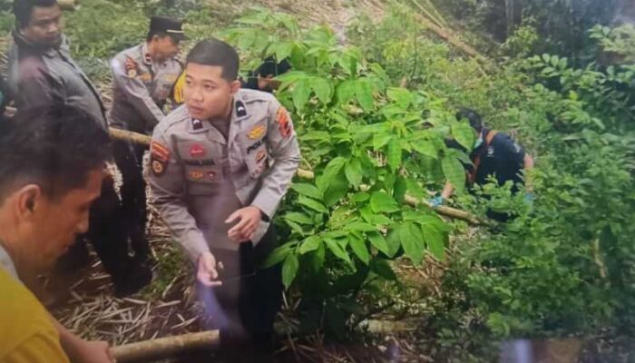 Ngarai Sianok Ungkap Temuan Jasad Bayi Terpotong