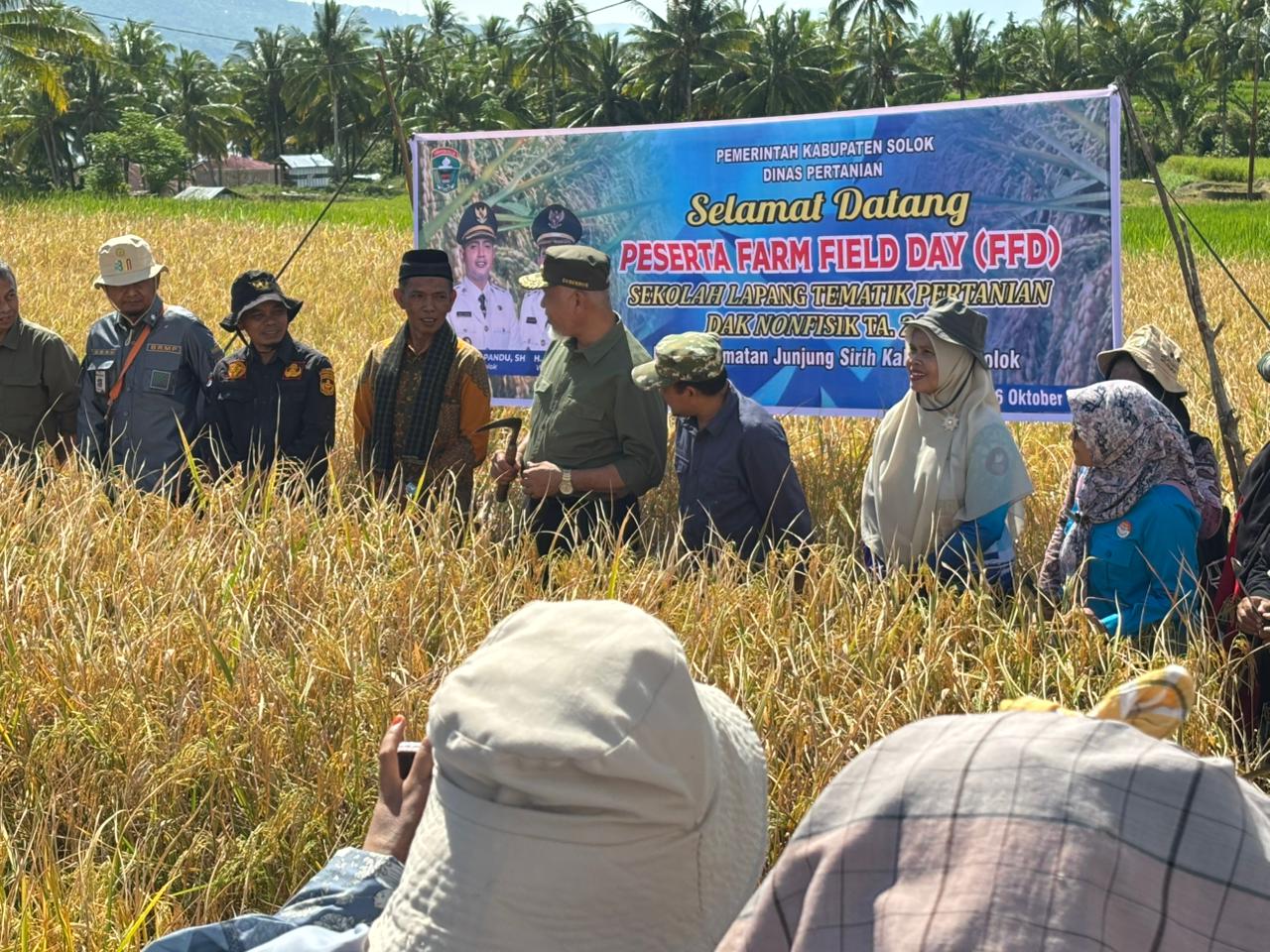 hasilkan-7-ton-padi-per-hektare,-gubernur-mahyeldi-dukung-sawah-pokok-murah