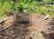 Mayat Pria Membusuk Ditemukan, Identitas Korban Masih Dicari