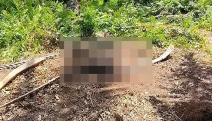 Mayat Pria Membusuk Ditemukan, Identitas Korban Masih Dicari