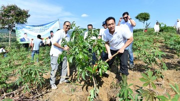 hijaukan-hulu,-pertamina-tanam-ratusan-pohon-produktif-di-bogor