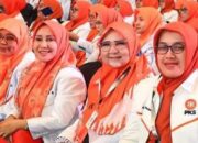 Nevi Zuairina Jalin Kolaborasi PKSHI Lewat Bimteknas