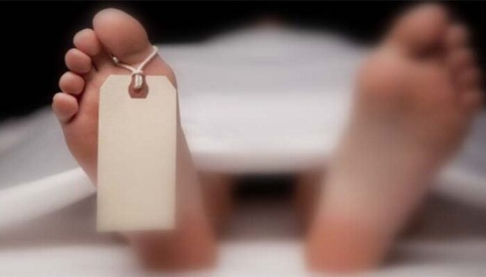 Tambang Emas Ilegal Kembali Telan Korban