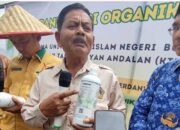 Herdanik Dongkrak Panen, Padi Organik Agam Lampaui Target