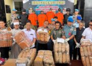 Polda Sumbar Sikat Jaringan Narkoba, Amankan Ratusan Kilogram Ganja