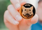 Membongkar Perbedaan: Meme Coin Versus Kripto, Mana Unggul?