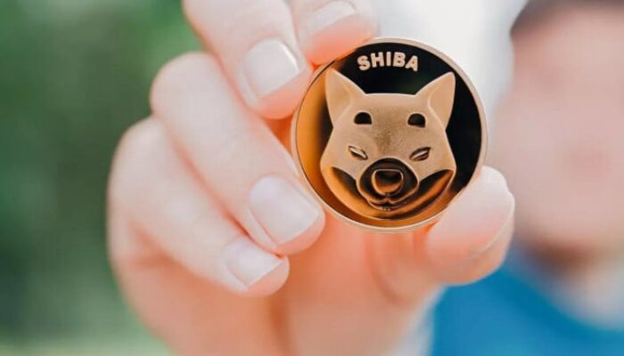 Membongkar Perbedaan: Meme Coin Versus Kripto, Mana Unggul?