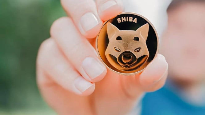 meme-coin-vs-kripto,-ini-perbedaan-penting-yang-wajib-dipahami-sebelum-investasi