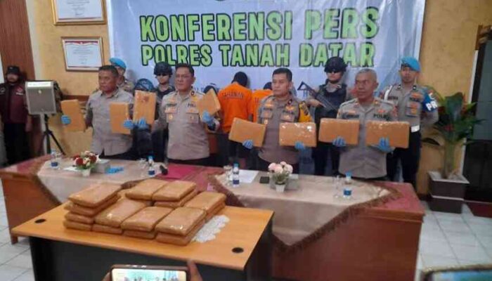 Polres Tanah Datar Bekuk Tiga Pengedar Ganja Bukittinggi