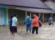 Banjir Rendam Padang Pariaman, Warga Mengungsi Massal