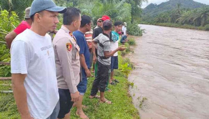 Arus Deras Hanyutkan Warga Pessel Saat Menyeberang Sungai