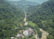 Pongkor: Reklamasi Pascatambang Menghidupkan Kembali Alam