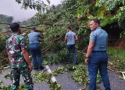 Kodaeral II Bergerak Cepat Atasi Longsor Bukit Peti-Peti