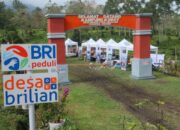 CSR BRI Raih Penghargaan, Buktikan Dampak Pemberdayaan