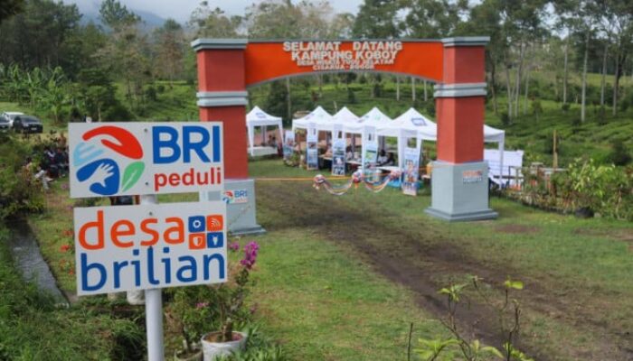 CSR BRI Raih Penghargaan, Buktikan Dampak Pemberdayaan