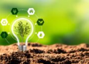 Energi Terbarukan Dongkrak Produksi Ikan, Petani Raup Untung