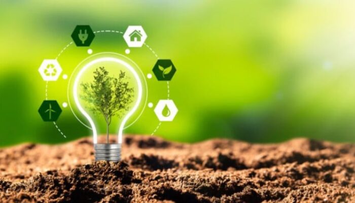 Energi Terbarukan Dongkrak Produksi Ikan, Petani Raup Untung