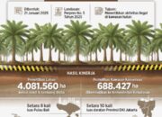 Tertibkan 4 Juta Hektare: Lahan Sawit dan Tambang Ilegal Ditindak