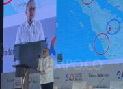 Cadangan Beras Pemerintah Naik Jadi 4 Juta Ton: Apa Artinya?