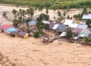 Sumbar Bangkit: Pemerintah Kejar Pemulihan Pasca Banjir