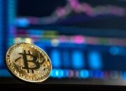 Negara Mana Paling Agresif Mengumpulkan Bitcoin?