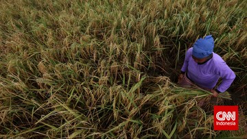 data-kesuburan-tanah,-cara-pupuk-indonesia-jaga-efisiensi-ekosistem