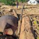 dari-emas-hingga-seng,-esdm:-ada-23-izin-tambang-di-3-wilayah-bencana-sumatera