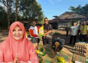 Nevi Zuairina Aktif Salurkan Bantuan PKS di Pasbar