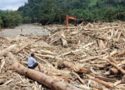 Agincourt Soroti Penghentian KLH Pasca Banjir Sumatera Utara