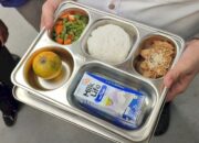 Negara Beri Makan, Generasi Berkembang?