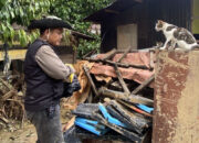 UNP, J&T Evakuasi Hewan Terdampak Banjir Maninjau