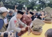 Riau Pamerkan 433 Bonsai Terbaik, Masyarakat Antusias Menyaksikan