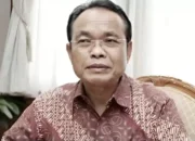 Kategori Bencana Regional Mendesak, Ini Alasan Pembentukan