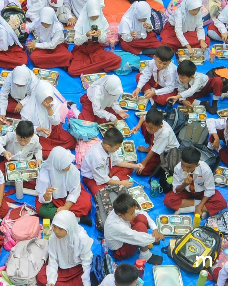 program-makan-bergizi-gratis-di-persimpangan:-antara-dorongan-politik,-tekanan-fiskal,-dan-nasib-generasi-berikutnya