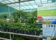 Pertamina Olah Jerami Jadi Air, Desa Berdaya