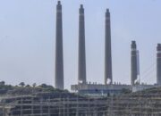 PLN Genjot Biomassa, PLTU Beralih ke Energi Hijau