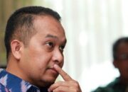 Prabowo ajak pemda bahas divestasi saham Freeport Papua