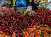 Bapanas Gerakkan Distribusi Cabai, Tekan Harga Jelang Nataru