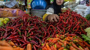 pemerintah-siapkan-pasokan-cabai-untuk-redam-harga-jelang-nataru