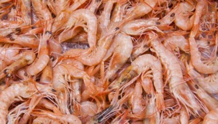 Udang Indonesia Ditarik AS, Radioaktif Diduga Cemari Produk