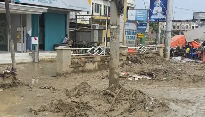 Tamiang Bangkit: Negara Pulihkan Peradaban Melayu dari Lumpur