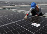 Raih Gaji Tinggi: Profesi Menjanjikan Tanpa Gelar Kuliah