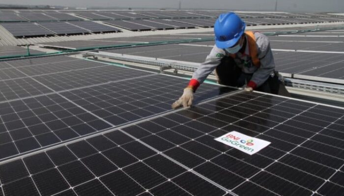 Raih Gaji Tinggi: Profesi Menjanjikan Tanpa Gelar Kuliah